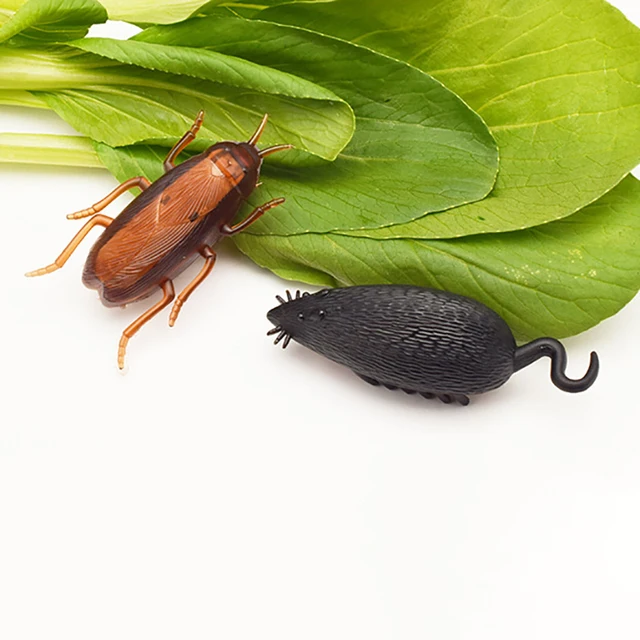 Funny Pet Cat Toys Interactive Electronic Toy Cockroach Mouse Spider For Cats Dogs Puppy Training Toys Pet Product Cats 2