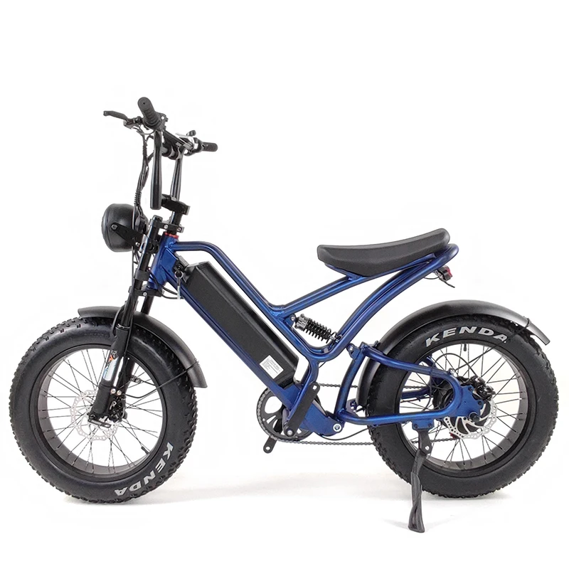 750 W to 1000 W 48 v 10.4 ah electric Bike Mountain Bike full suspension dual motor bicycle