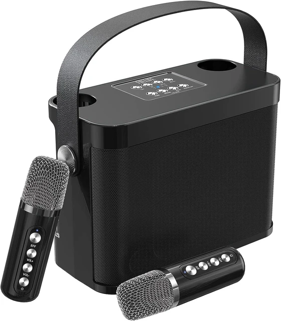 Karaoke Machine With 2 Wireless Microphones Portable Bluetooth