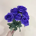 Purple blue color