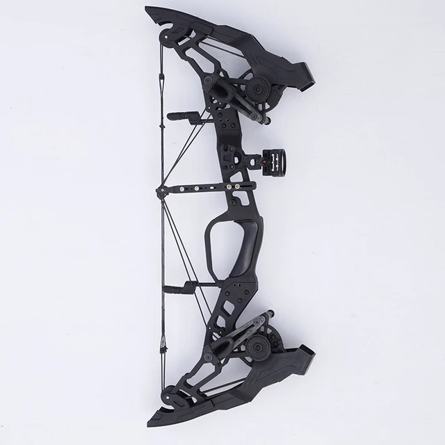 Compound Bow Steel Ball Bowfishing Bow Ibo 320fps Right Hand /left Hand  Shooting Hunting Accessories 1set 30-60lbs Archery M109e - Bow & Arrow -  AliExpress