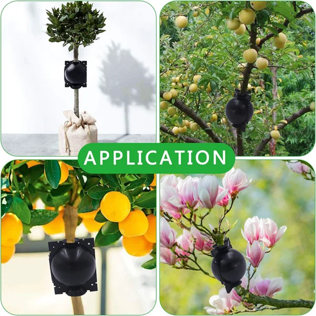 10-100PCS Plant Rooting Ball Grafting Rooting Box Breeding Case High Pressure Plant Root Growing Box For Garden Planting Supply 6