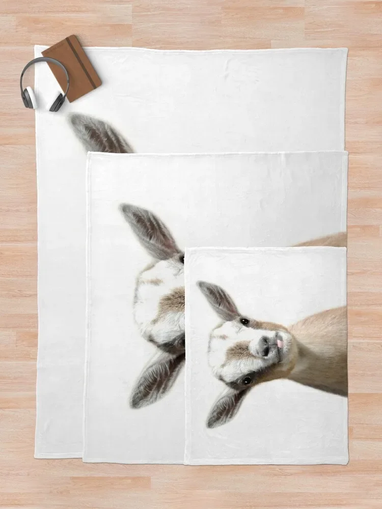 ���� ���� ����, �Ϳ��� ���� ������ ���, ���Ÿ� �����̳�, ���� ���� ���� ���