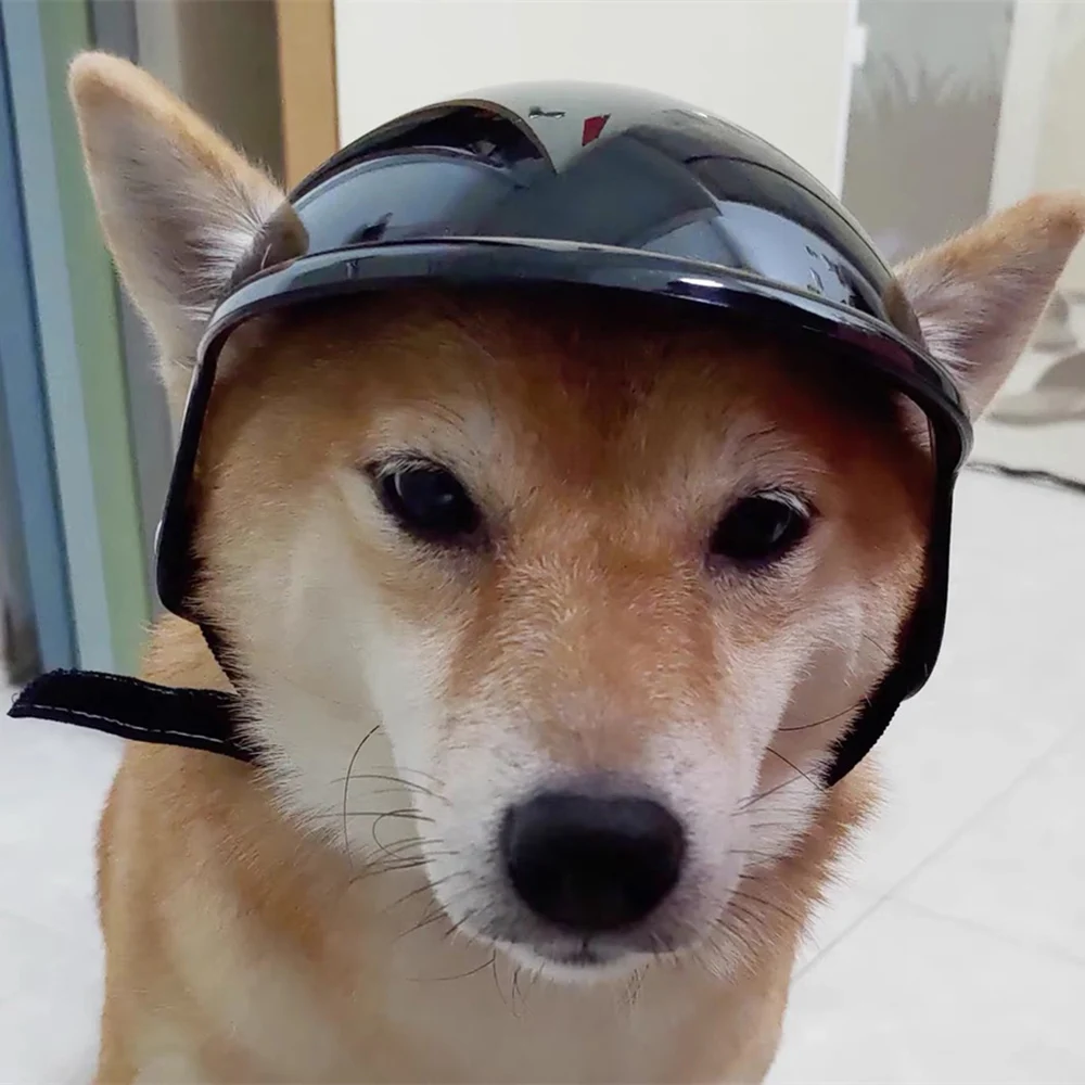 犬のヘルメット型自転車ベル クールなペット犬安全ヘルメット小中犬フレンチブルドッグ