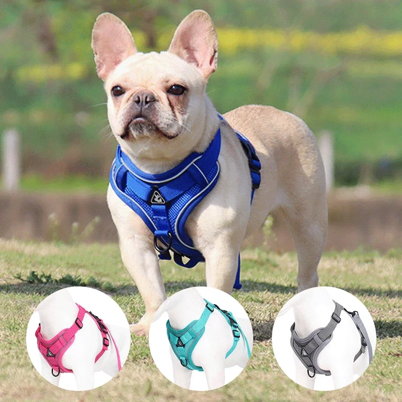 No Pull Dog Harness and Leash Set Adjustable Pet Harness Vest for Small Dogs Cats Reflective Dog Chest Strap Lead Walking pet harness leash set,pet harness set