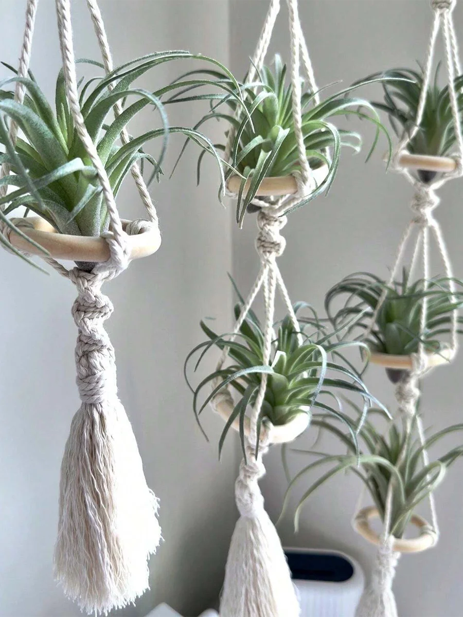 Handcrafted Macrame Air Plant Hanger 5