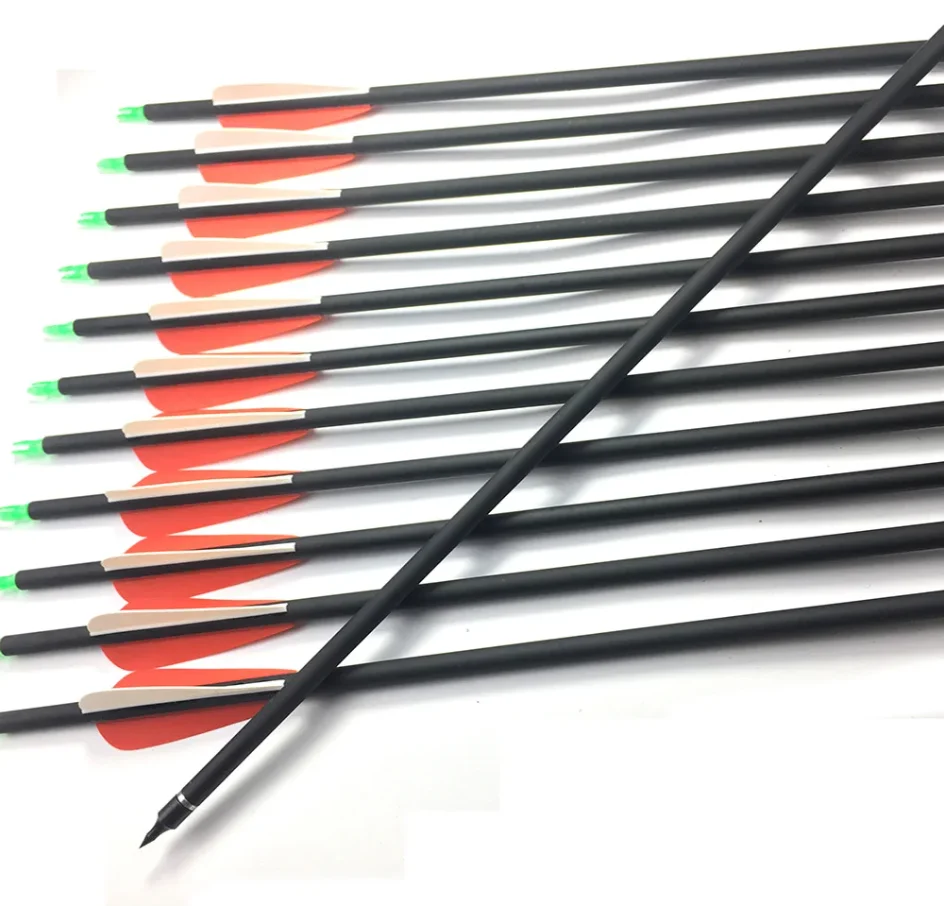 Archery Arrows 28"/30"/32" Carbon with Changeable Arrowheads Plastic Feathers for Hunting