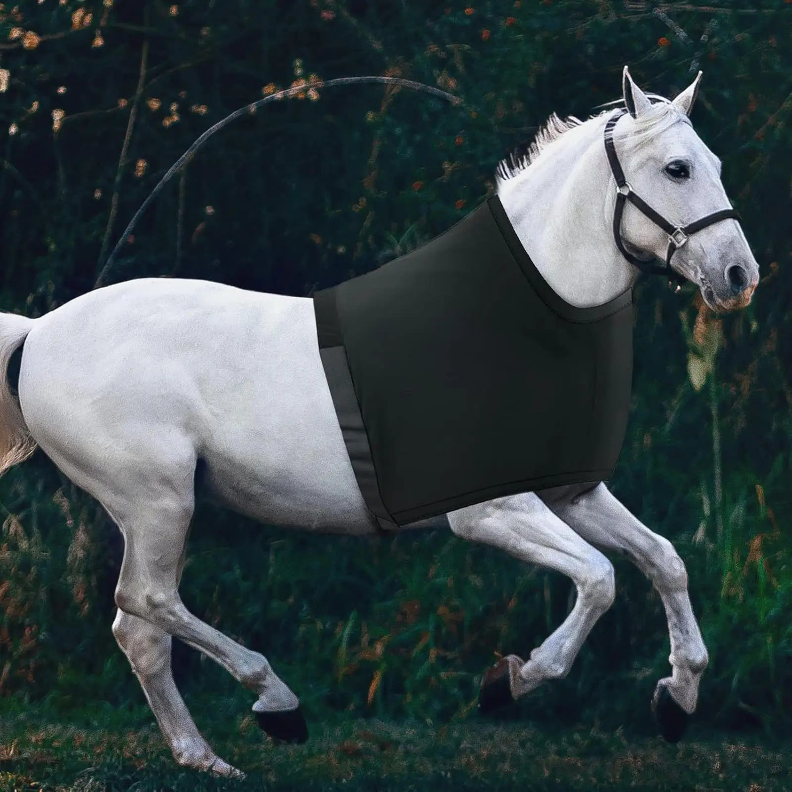Horse Shoulder Guard Chest Guard Chest Saver Prevent Rug Rubs High Elastic
