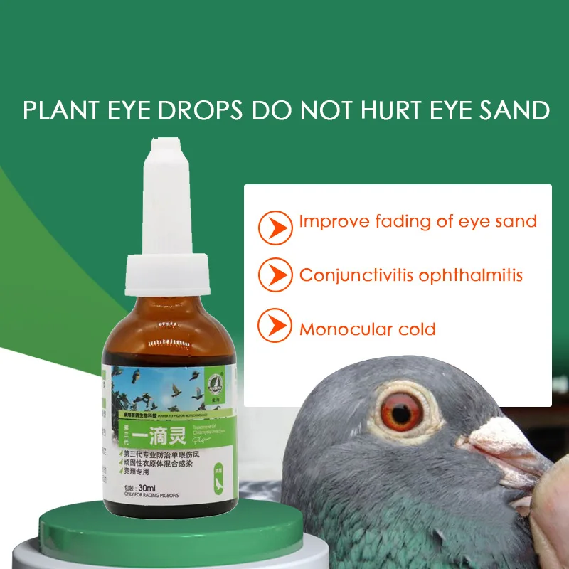 

Pigeon Eye Drops Eye Colds Carrier Pigeon Racing Pigeon Parrot Eyes Lacrimal Chlamydia In Vitro Infection 20ml