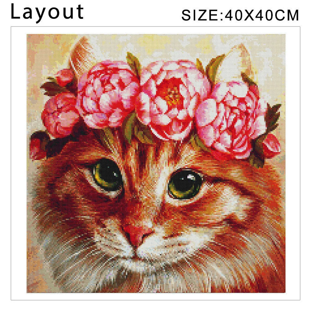 23 (1).jpg_.webp 23 (1).jpg_.webp