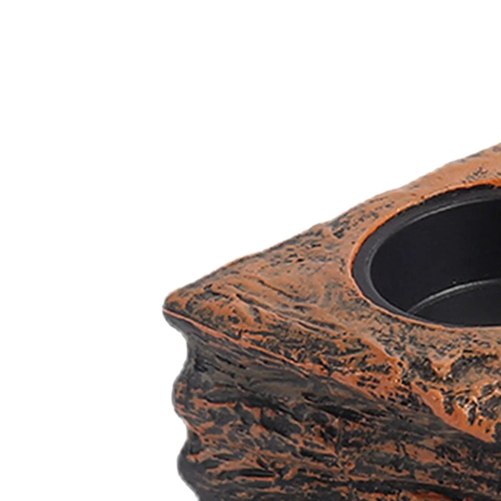 Gecko Feeder Ledge Terrarium Tank Decor Accessories Magnetic Reptile Food Feeder for Crested Gecko Animals Chameleon Lizard Pets