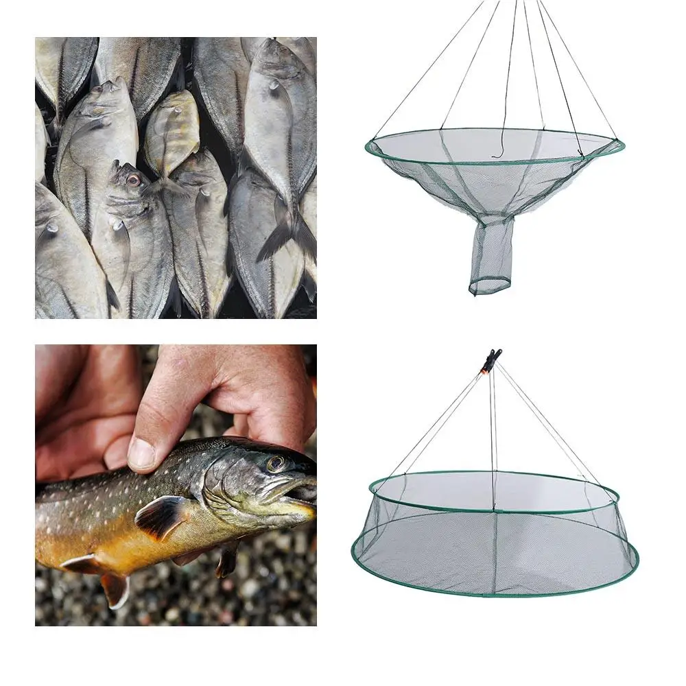 

Landing Net Cage Prawn Bait Fish Eels Trap/Cage Crayfish Landing Net Crayfish/Shrimp Catcher Shrimp Catcher Drop