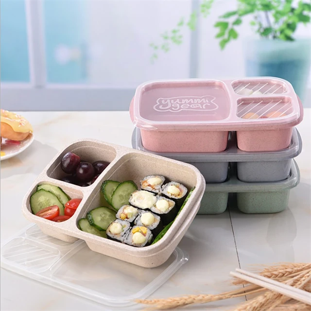 Small Storage Containers with Lids for Food Tall Glass Storage Containers  Lunch Box Reusable 3-Compartment Plastic Divided Food - AliExpress