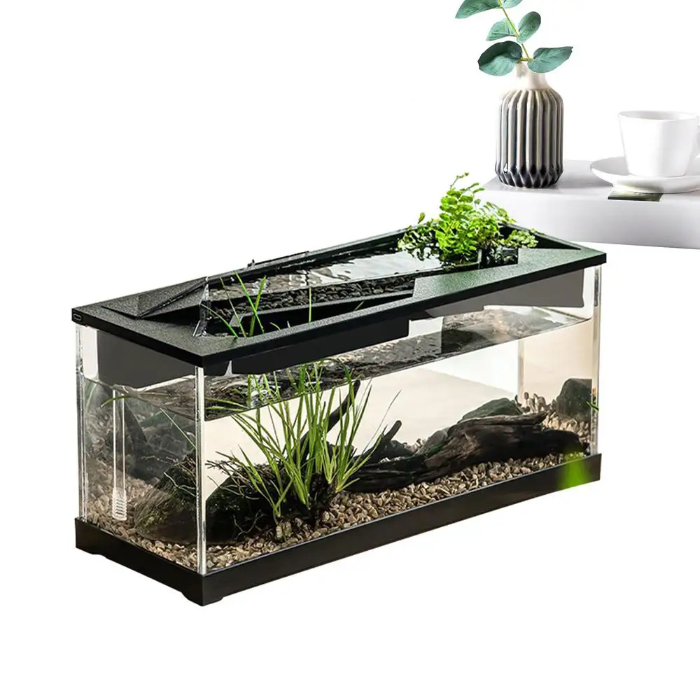 Desk aquarium view 1