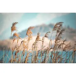 Elegant Landscape Canvas Oil Paint-by-Numbers Kit for Adults - Hand-Painted Home Decor Artwork (9937469)
