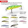 ZipBaits Rigge 70s Sinking Minnow Fishing Lures Artificial Bait 3D Natural Eye Wobbler Hard Bait Fishing Tackle Rival 70S Minnow 6