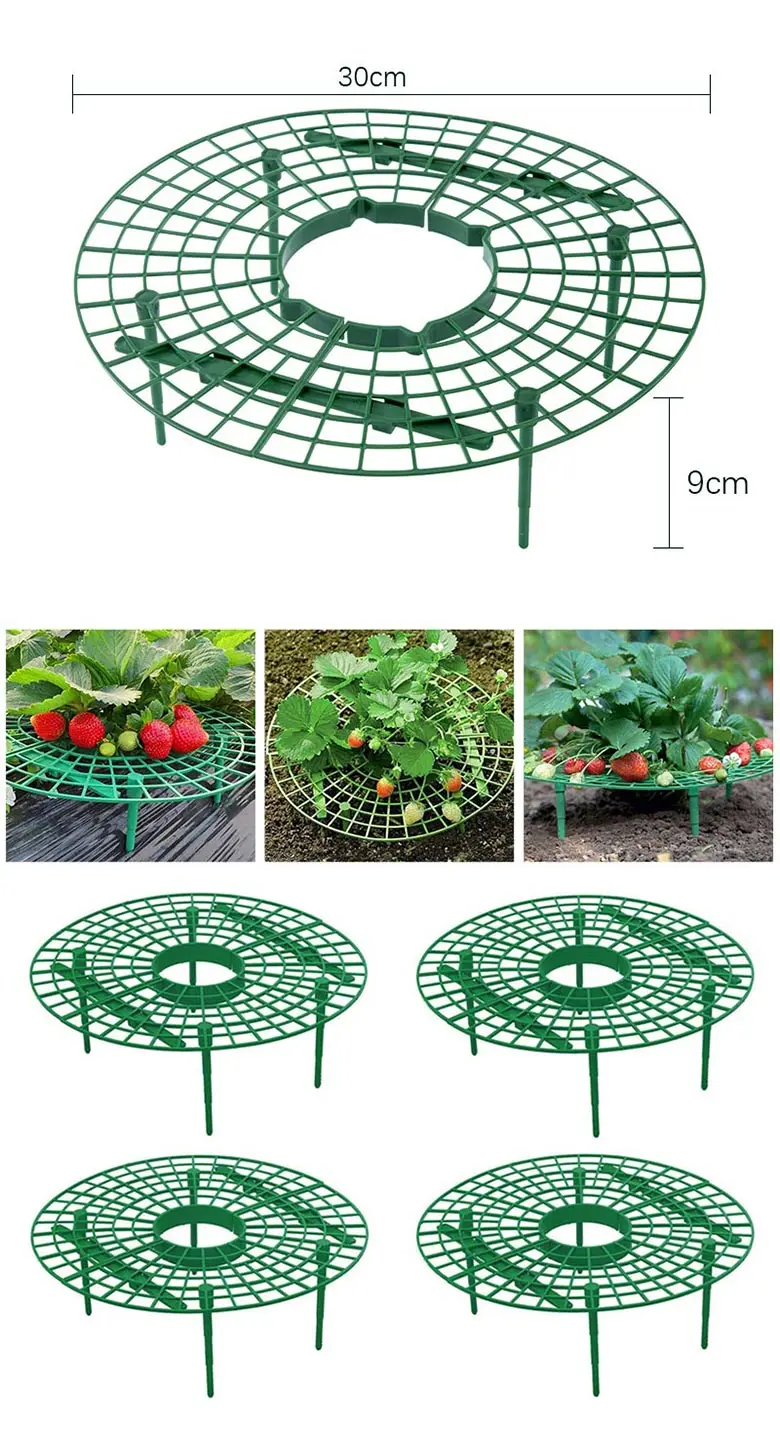 16 Supports De Fraises En Plastique Vert - Amovibles, Protègent Du Sol Et Des Escargots - Pour Culture Surélevée