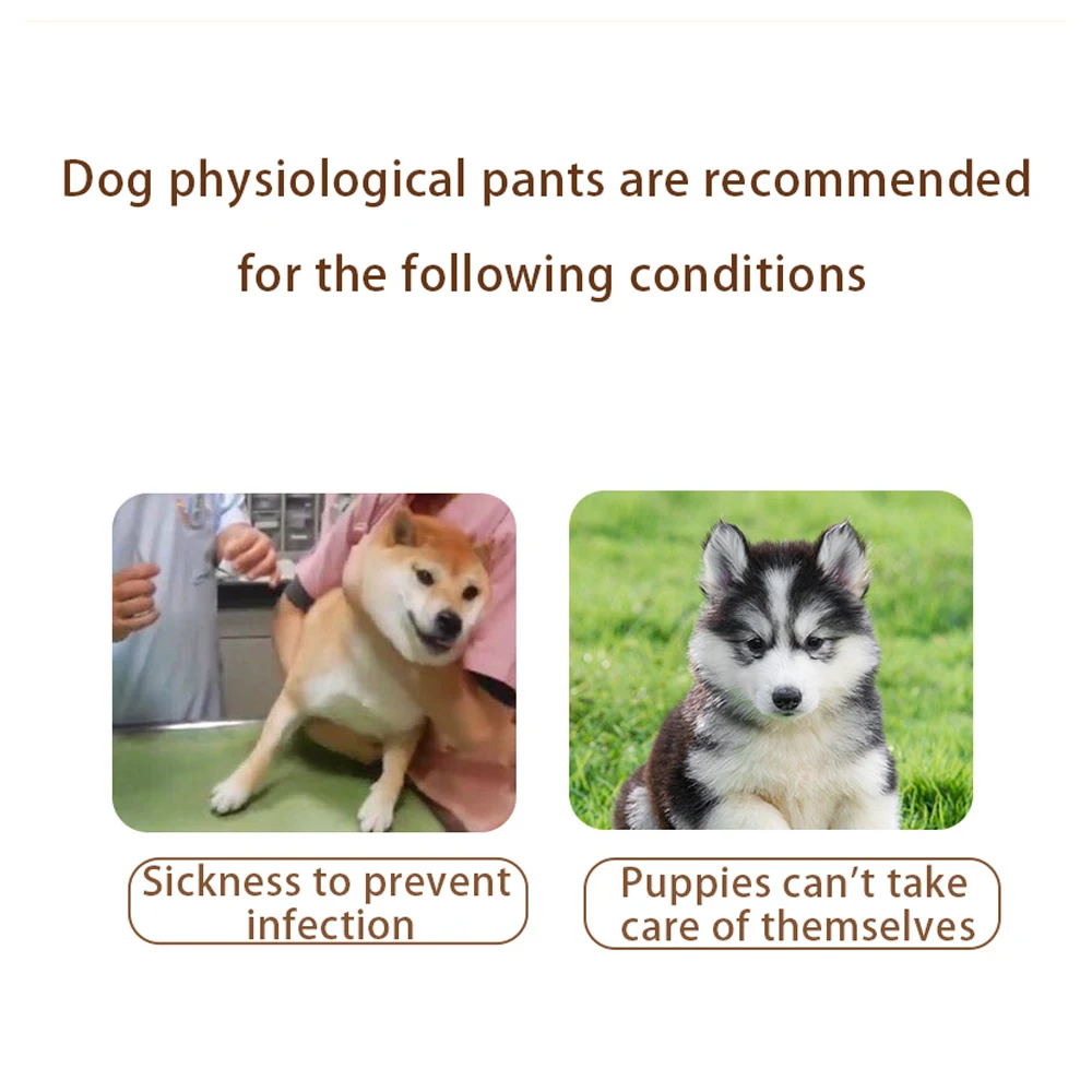 Pet Diapers Dog Diapers Dog Nappies 1pc Female Reusable