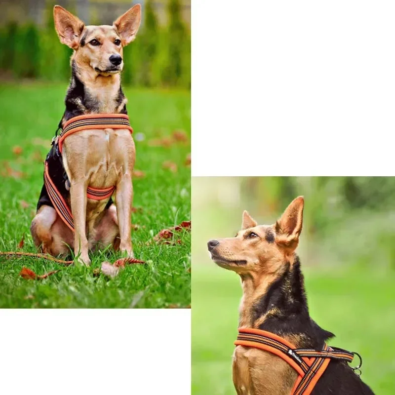 Soft Mesh Padded Nylon Dog Harness Vest 3M Reflective Security Dog Collar Easy Put on Pet Harness Pull-resistan TLH5811 Pet Harness Dog Harness Pet Chest Harness Safety Harness