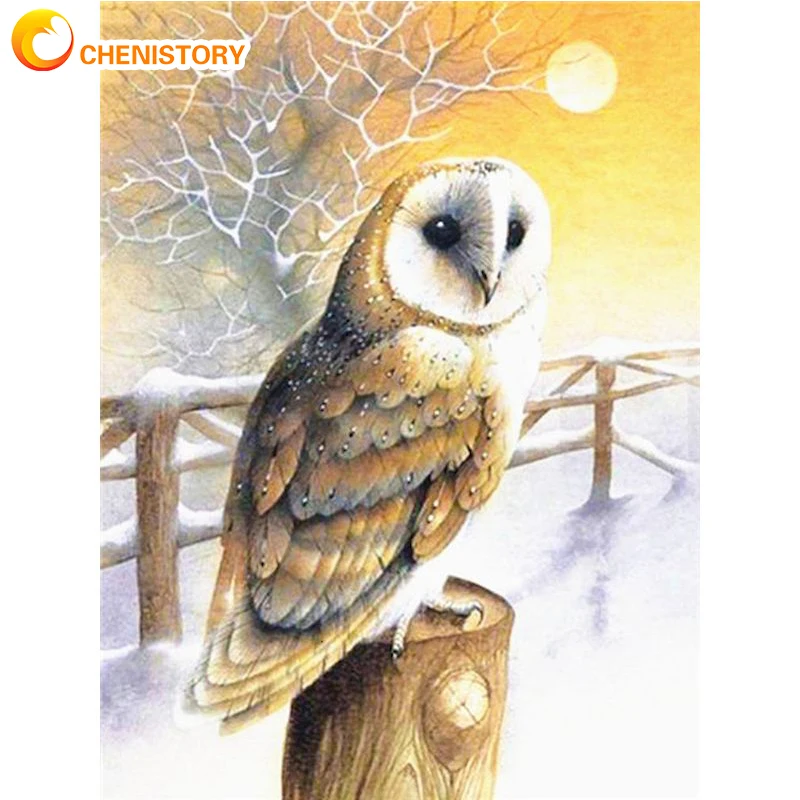 

CHENISTORY Painting By Numbers On Canvas Pictures Owl DIY Coloring By Numbers HandPainted Kits Modern Animal Home Decoration