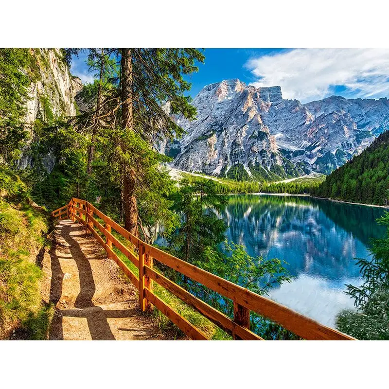 DIY Painting By Numbers - Scenic Trees and Mountains Hand-Painted Artwork | Unique Home Decor Gift