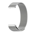 Silver Magnetic