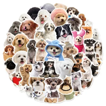 10/25/50pcs Graffiti Cute Dog Meme Stickers 1