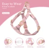 Nylon Dog Collar Harness Leash Set Adjustable Puppy Dogs Harnesses Vest Cute Bowknot Pet Collars With Lead for Small Medium Dogs 3