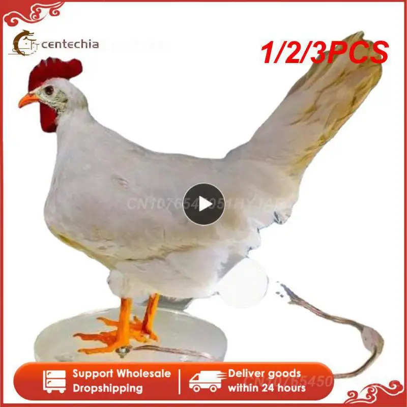 123PCSChickenLampInterestingChickNightLightRoomOrnaments