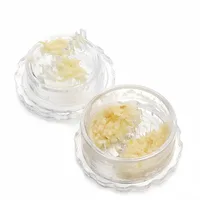 Boîte de torsion d'ail domestique multifonctionnelle, outil manuel en plastique, broyeur d'ail pour gingembre et Chili, Gadgets de cuisine, 2 pièces 3