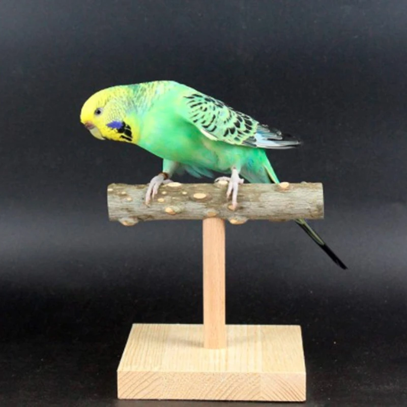 

Natural Perch Parrot Tabletop Standing Branch with Base Grinding Claw Bar New Dropship