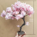 CherryE 20cm