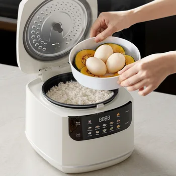 Mini Rice Cooker 1