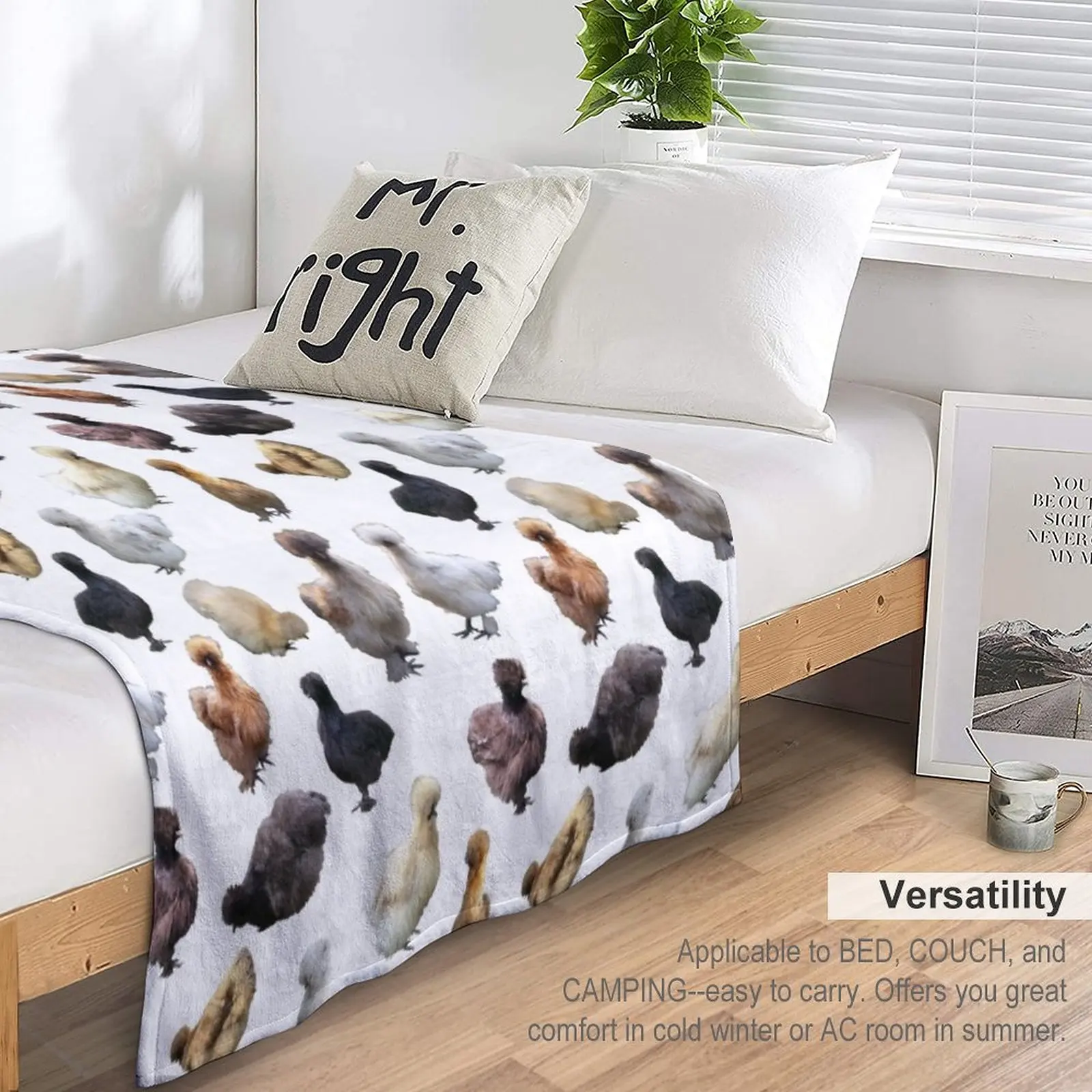 ��� ������ ���, ���� �� ���, ���� ���, ���� ����