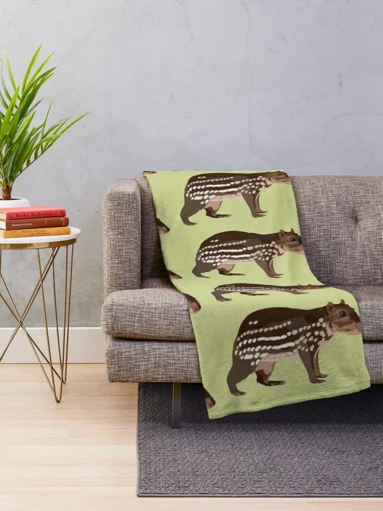 Paca Throw ���, ���� ���, ��� ħ�� ���