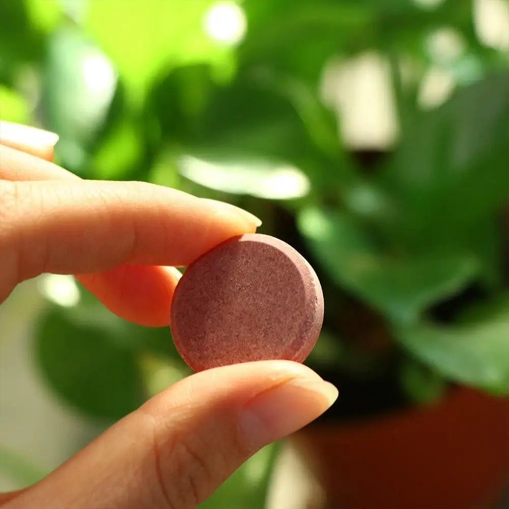 Description Picture 6 of itemUniversal Phosphorus Organic Fertilizer Potassium Speed Up Slow-Release Tablet Growth Plant Nutrition Tablets Plants Potted
