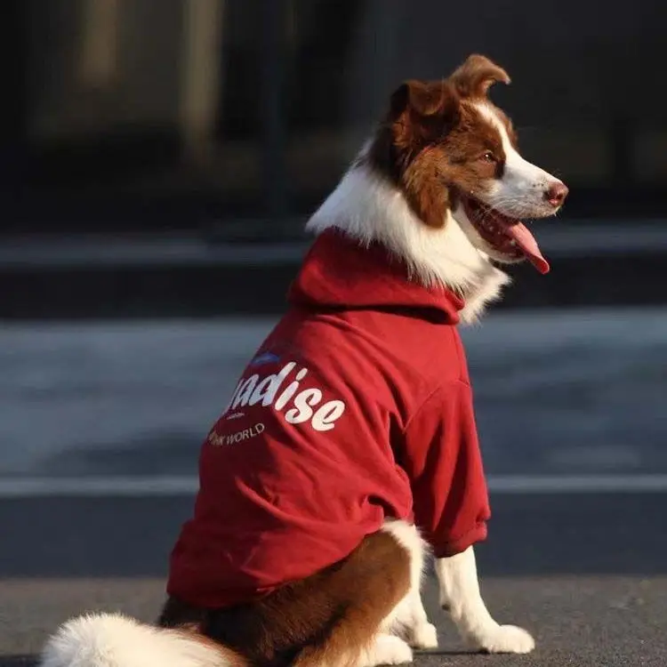 

Red Big Dog Outfits, Labrador, Golden Retriever, Samoyed Winter Clothes, Medium-sized Dogs, Large Dogs Costume, Puppy Clothes