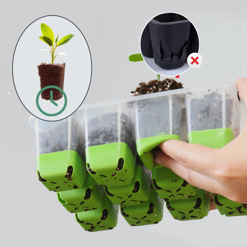 Seed Starter Tray with Transparent Cover & Adjustable Vents 12-Cell Flexible TPE for Seedling Transplanting Indoor Germination