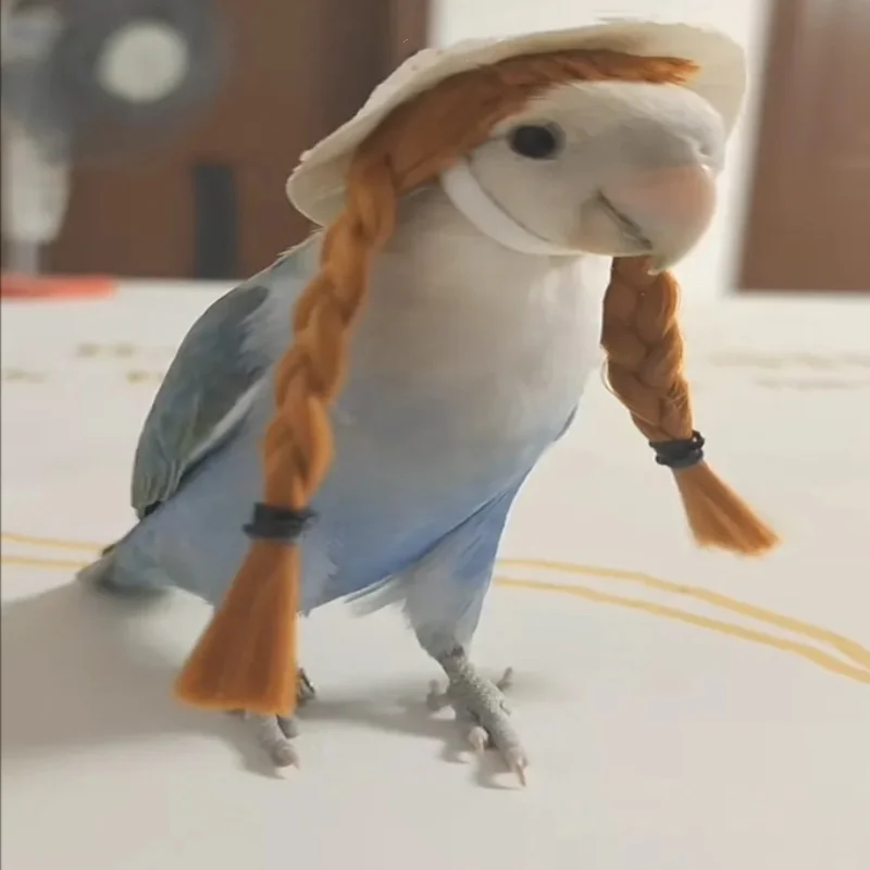 budgerigar cockatiel peonía loro diadema tejida a mano sombrero de pájaro mascota pequeño hairgear tocado ajustable pájaros juguetes accesorios Budgerigar Cockatiel peonía loro diadema tejida a mano sombrero de pájaro mascota pequeño Hairgear tocado ajustable pájaros juguetes Accesorios 3