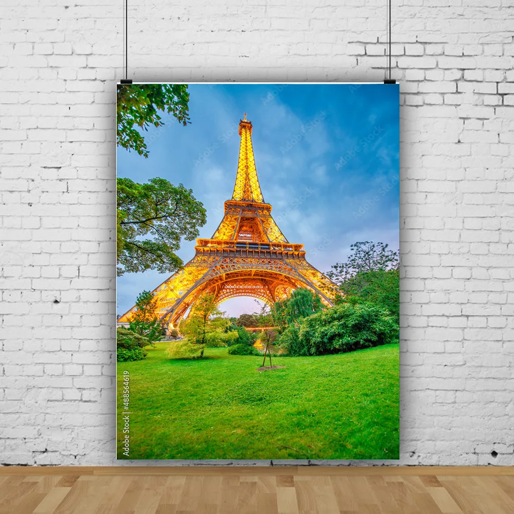 

ZHISUXI Vinyl Background European Landscape Famous Scenic Spots Street Night Scene Photography Background Props OZ-20