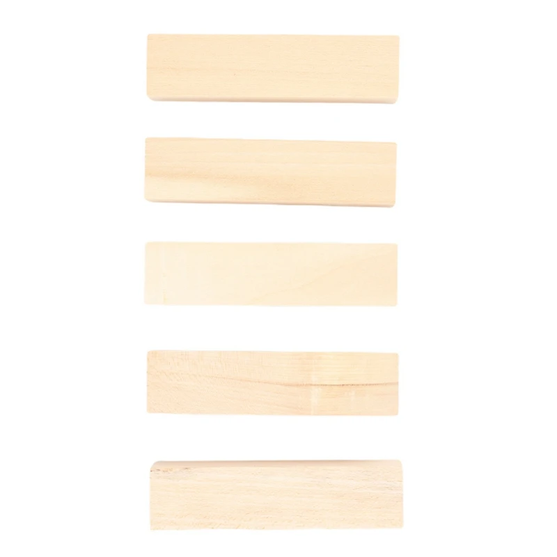 Y17A 10Pack Basswood Carving Blocks Kit Whittling Blanks Beginners Unfinished Wood Whittling Blocks Carving Block Kit(5L+5S)