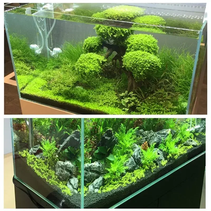 Aquarium Plant Seed Soil 100g Aquarium Planted Substrate Sand Soil Fertilizer Mud for Fish Tank Plants Care Aquatic Pet Supplies 1