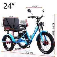 24 pouces 3 roues vélo électrique hors route 750w48v passager Tricycle électrique 2 places pour femme homme VTT 4