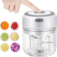Electric Garlic Mincer 250ML Vegetable Chopper Food Chopper, USB Mini Garlic Mincer, Onion Chopper Portable Small Food Processor 1