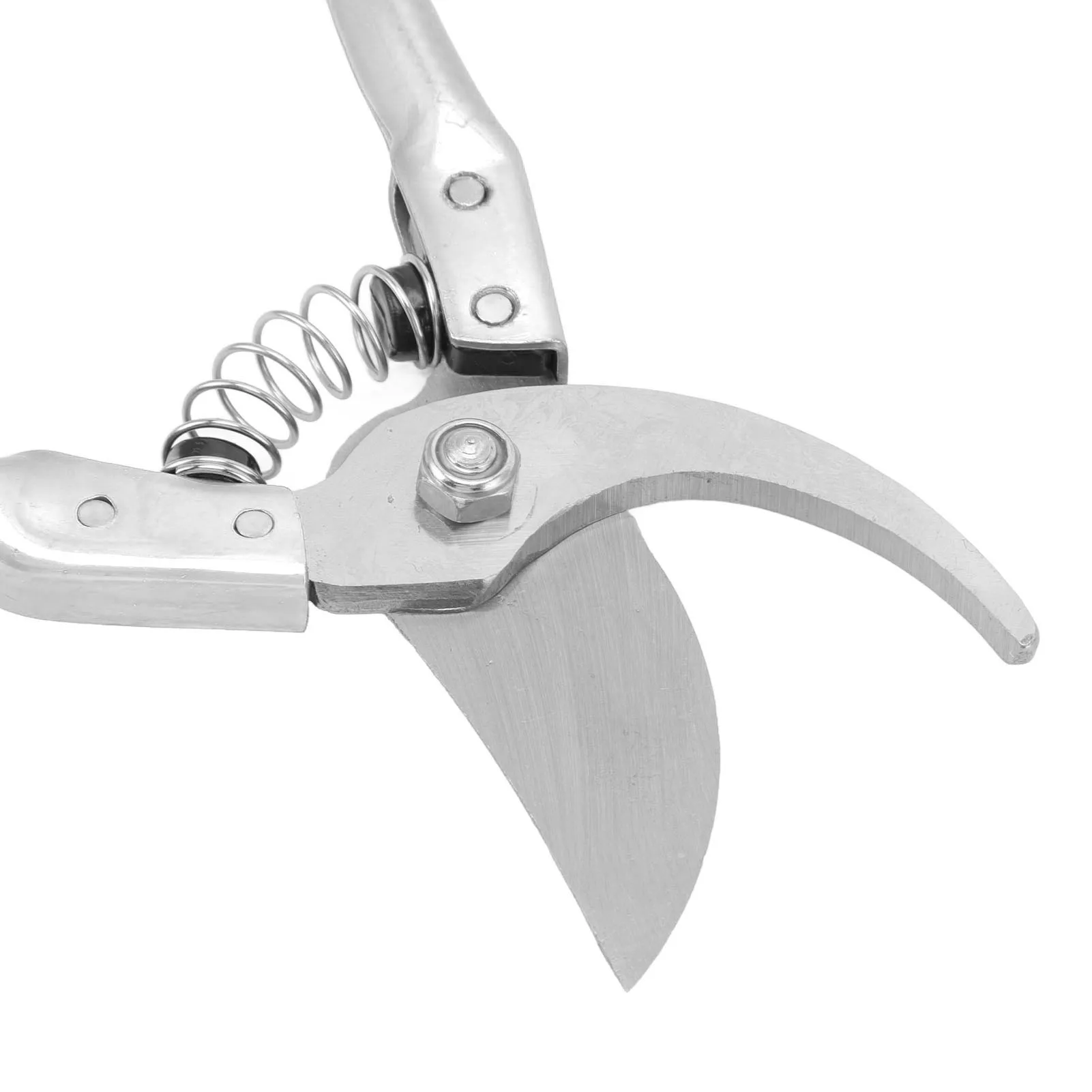 Description Picture 5 of itemGoat Hoof Trimmers Pig Trotter Shears Pliers Animal Toe Nails Trimming Repairing Tool Hoof Trimmming Tool Sheep Hoof Scissors