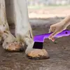 Hoof Picks For Horses 2 In 1 Horse Grooming Supplies Hoof Pick For Horse Cleaning Horse Hoof Polish Hoof Pick With Brush 2