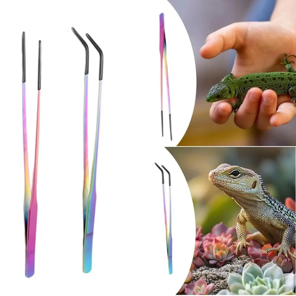 Stainless Steel Reptile Feeding Tongs 2