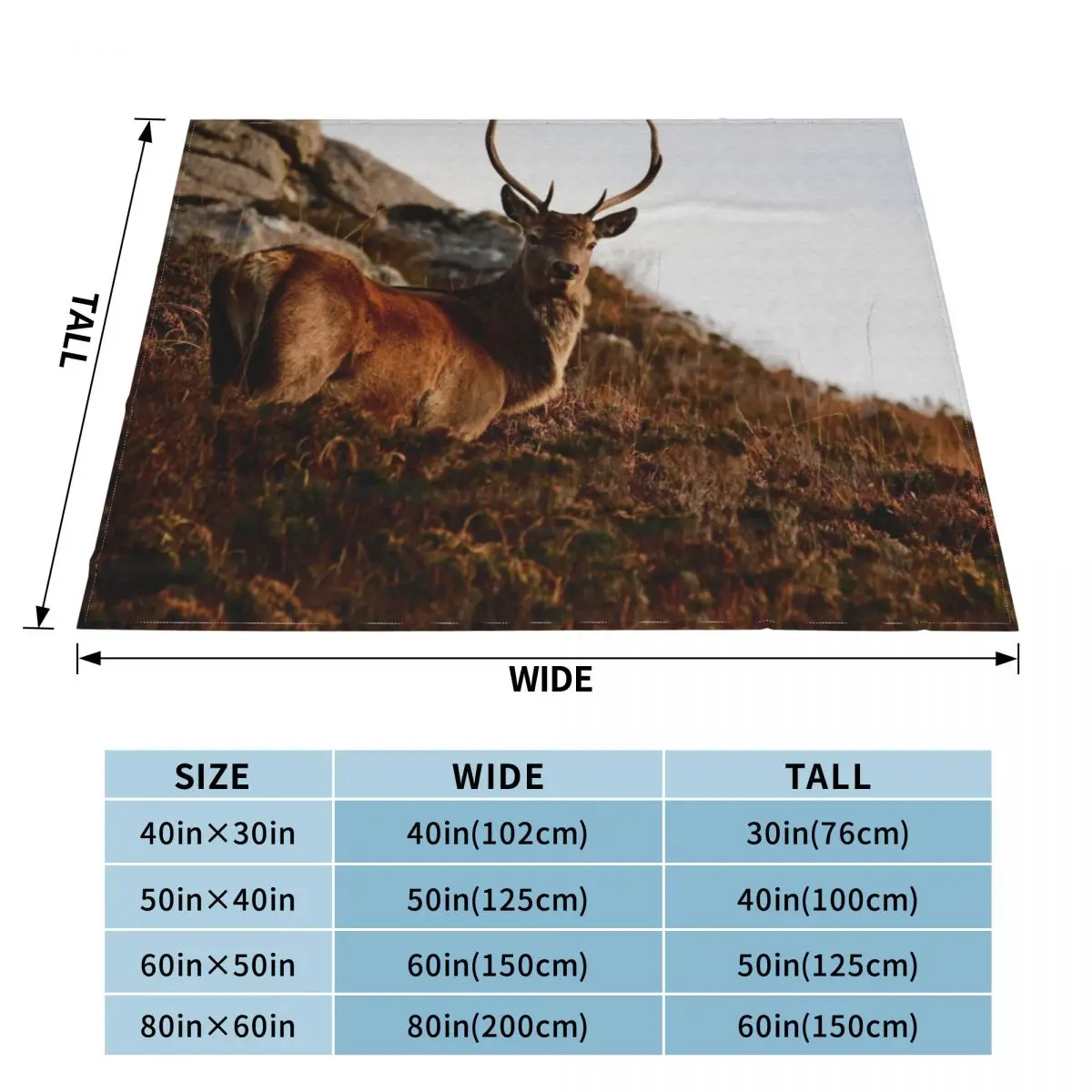 �� ������ ���, ���� ���, �߷�Ÿ�� ���� ���̵��