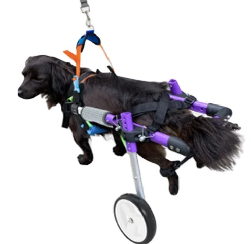 

High Quality Pet Hindlimb Wheelchair Adjustable