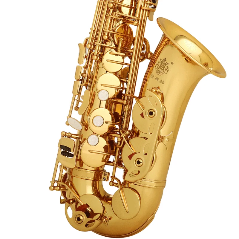 

SUMACH SA-1L Alto Saxophone E-DROP Lacquer Gold Beginner's Performance
